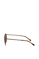 Sluneční brýle POLO RALPH LAUREN bronzově hnědý