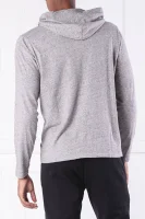 Tričko s dlouhým rukávem | Regular Fit POLO RALPH LAUREN šedý