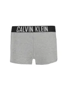 Šortky | Regular Fit Calvin Klein Swimwear šedý
