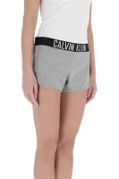 Šortky | Regular Fit Calvin Klein Swimwear šedý