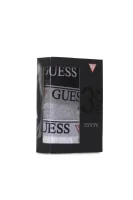 Slipy 3-pack Guess popelavě šedý