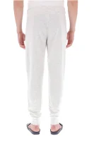 Kalhoty k pyžamu | Regular Fit Tommy Hilfiger popelavě šedý