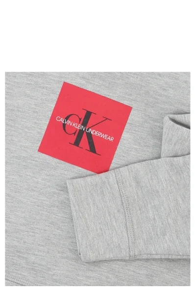 Mikina | Regular Fit Calvin Klein Underwear šedý