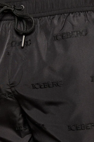Koupací šortky | Regular Fit Iceberg černá