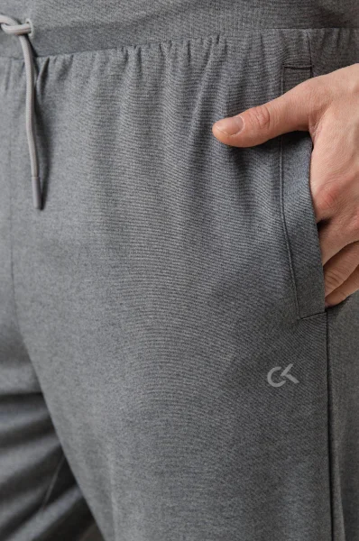 Kalhoty | Regular Fit Calvin Klein Performance šedý