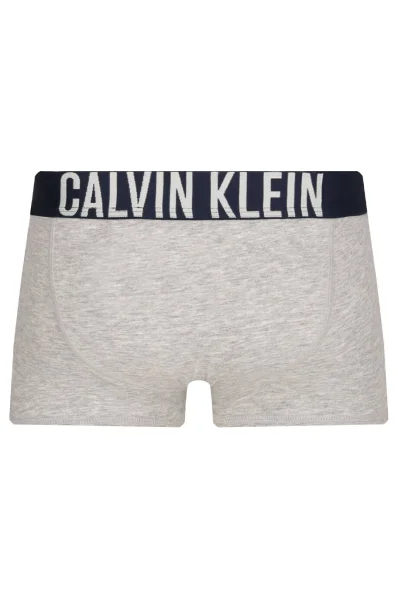 Boxerky 2-pack Calvin Klein Underwear šedý