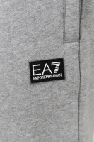 Tepláky | Relaxed fit EA7 šedý