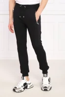 Kalhoty | Regular Fit Balmain černá