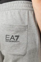 Tepláky | Regular Fit EA7 šedý