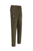 Kalhoty jogger EA7 khaki